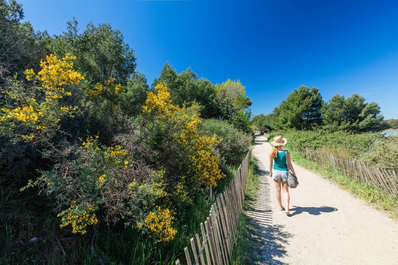 🏝️ 가우 섬(일 뒤 가우)